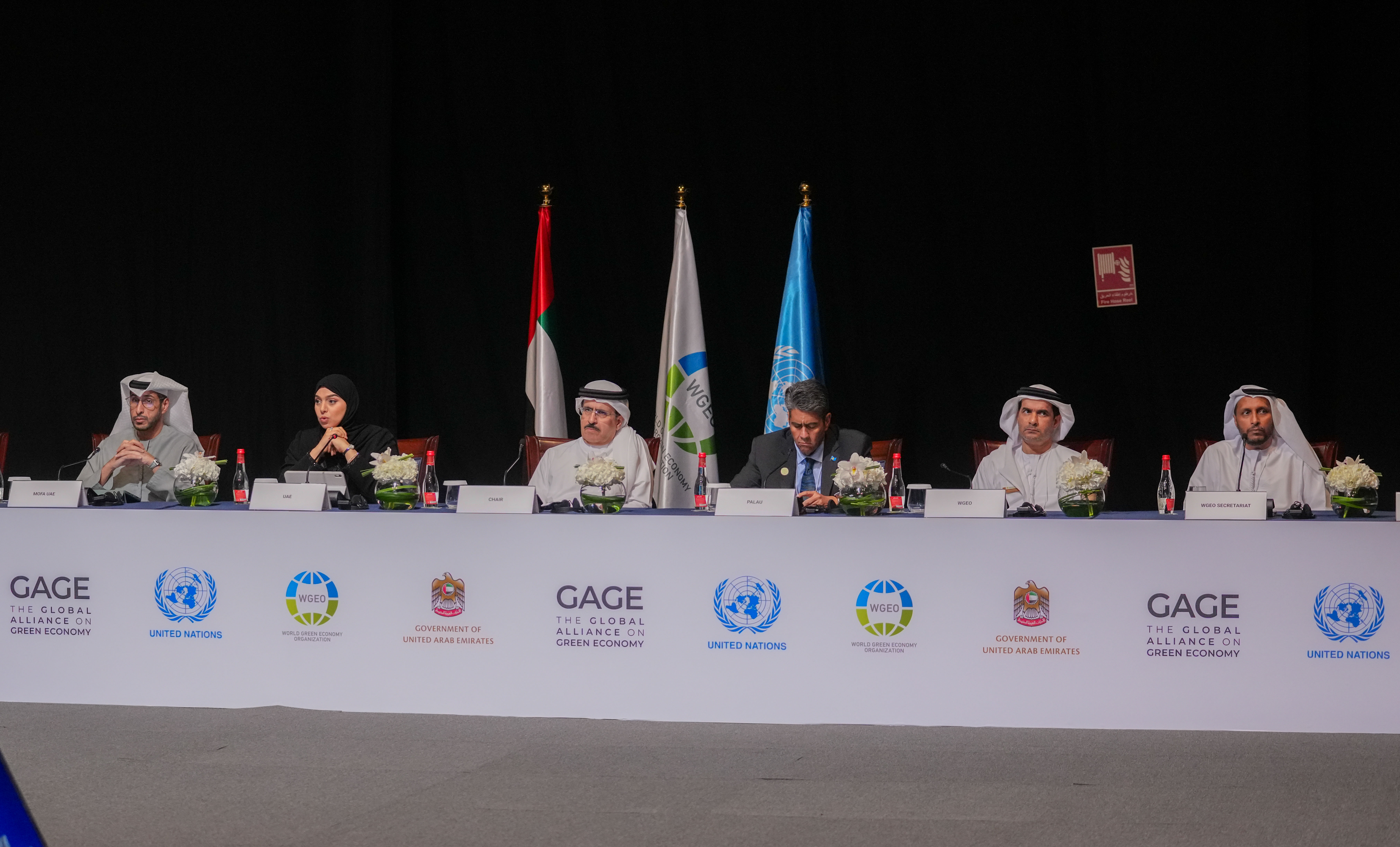 World Green Economy Summit 2024 Hosts a High-Level Ministerial Roundtable