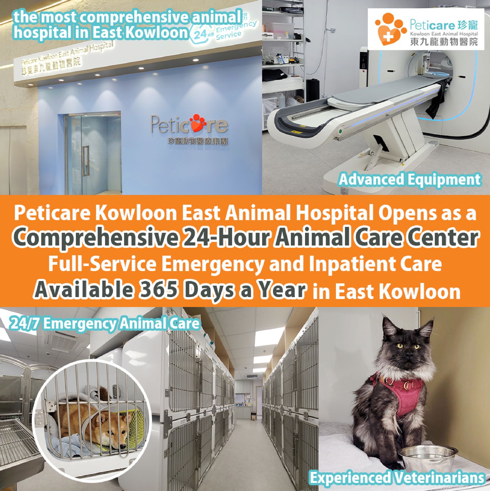 Peticare Kowloon East Animal Hospital Opens as a Comprehensive 24-Hour Animal Care Center